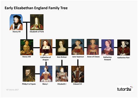 henry tudor vii|henry viii tudor family tree.